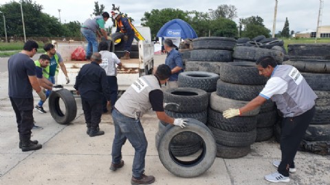 VIDEO | Prevención del dengue: se aproxima una nueva edición de Neumatón