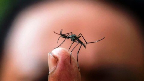 Organizaciones sociales denuncian que en la provincia se oculta una "epidemia" de dengue