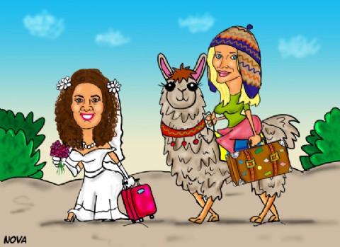 Le pongamos plumas a la derrota: las liberales alternativas la chocaron feo