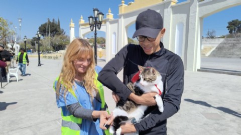 Así será el cronograma de vacunación antirrábica de la próxima semana