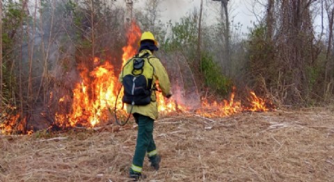 Trabajo conjunto de Nación, la provincia y municipios contiene incendios en el norte salteño