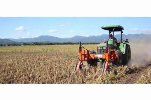 A pesar de la sequía histórica, arrancó la cosecha gruesa en la provincia