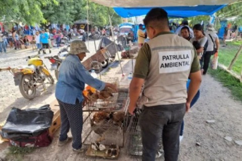 Tras un operativo rescatan cincuenta animales del maltrato y la venta ilegal