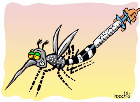 Vigilancia epidemiológica: los casos de dengue disminuyeron un 99,9 por ciento en la provincia