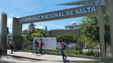 UNSa: denuncian hostigamiento laboral y maltrato a perros comunitarios del campus