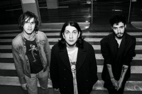 Mujer Cebra llega por primera vez a Salta