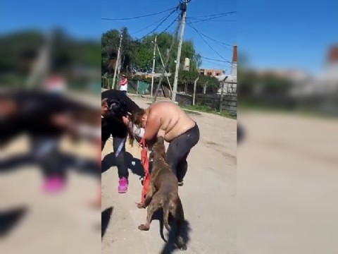 Se le soltó la cadena a "Tetín", el perro de Ameri