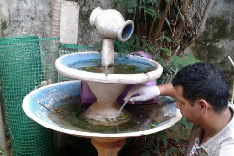 Inician campaña en zonas de la capital para la detección de reservorios del mosquito aedes aegypti