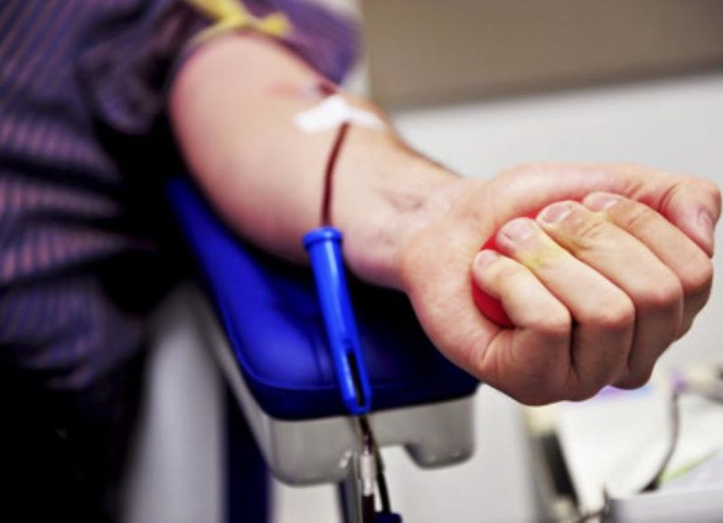 Diputados aprobó por unanimidad el proyecto para promover la donación de médula ósea