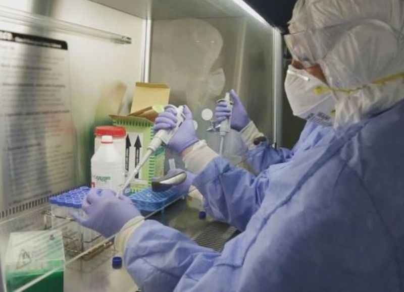 Covid-19 en la provincia: se notificaron 180 casos nuevos