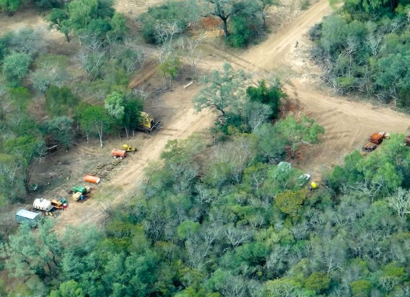 Salta, la segunda provincia con más hectáreas desmontadas durante la cuarentena