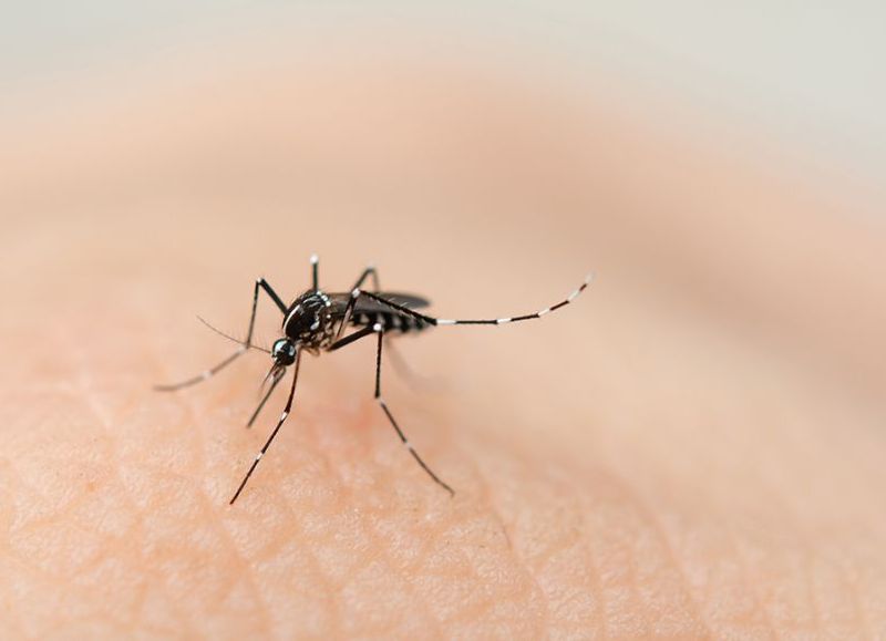 Falleció un hombre en Tartagal: se cree que es por el dengue