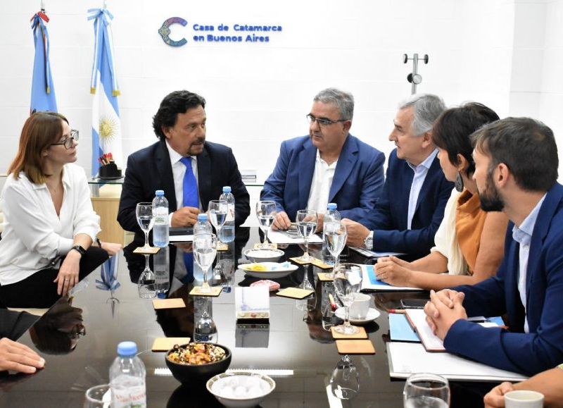 El gobernador Sáenz participó en una nueva reunión de la Mesa del Litio