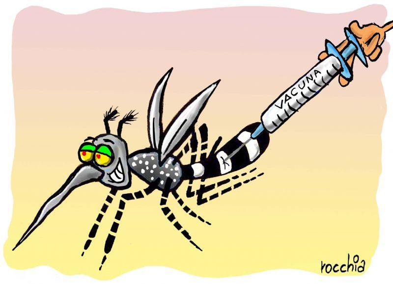 Vigilancia epidemiológica: los casos de dengue disminuyeron un 99,9 por ciento en la provincia