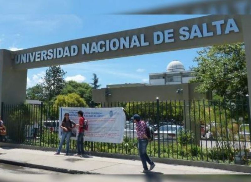 UNSa: denuncian hostigamiento laboral y maltrato a perros comunitarios del campus