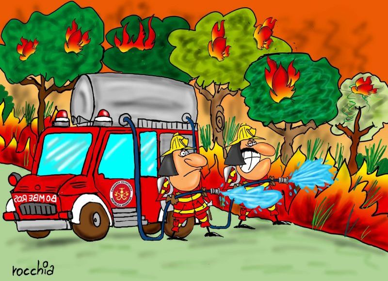 ¡En pocas horas se registraron 14 focos de incendios!